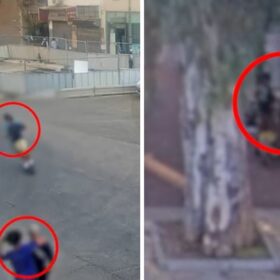 הקטינים הזרים שתקפו בגינת לווינסקי בתל אביב -צילום-דוברות המשטרה